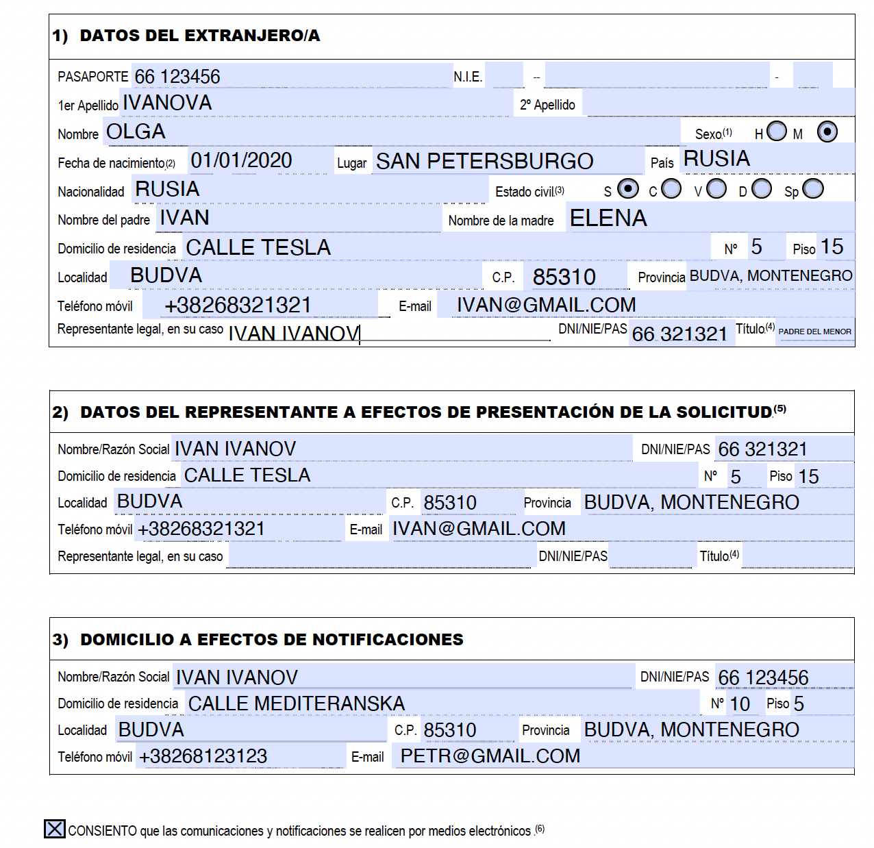 Пример анкеты при подаче за ребенка